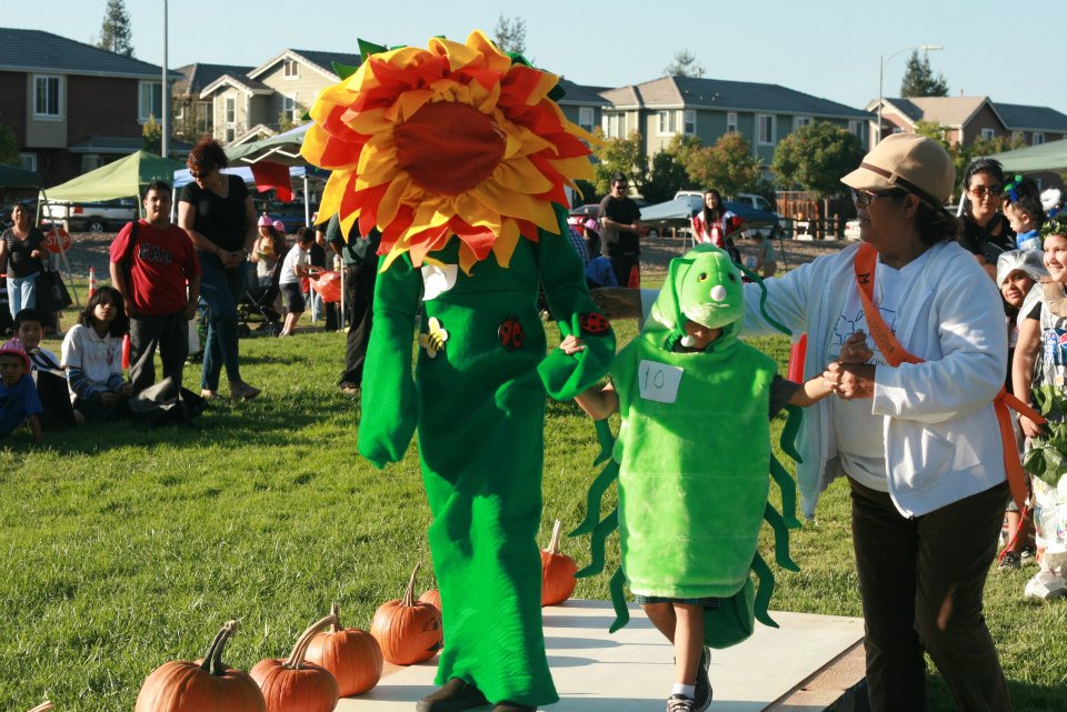 What what will you be for Safe & Green Halloween?